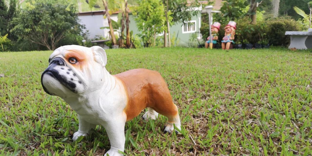 บ้านปลายฝัน Baanplaifun Ban Huai Phai Exteriér fotografie